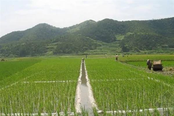 培育高产稳产田有哪些措施，首先做好农田基本建设工作