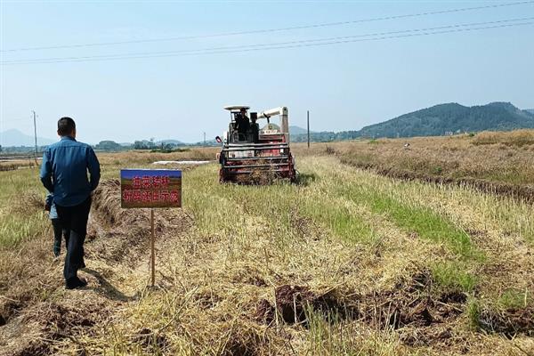 培育高产稳产田有哪些措施，首先做好农田基本建设工作
