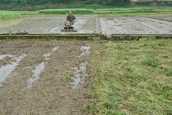 培育高产稳产田有哪些措施，首先做好农田基本建设工作