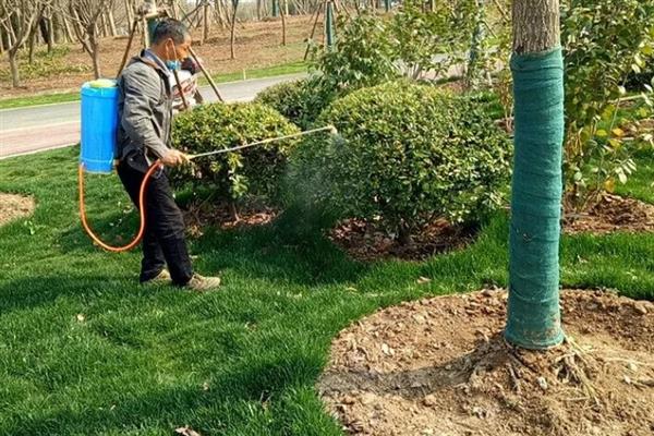 草坪剂和除草剂的应用技巧,不同药剂的使用方法不同