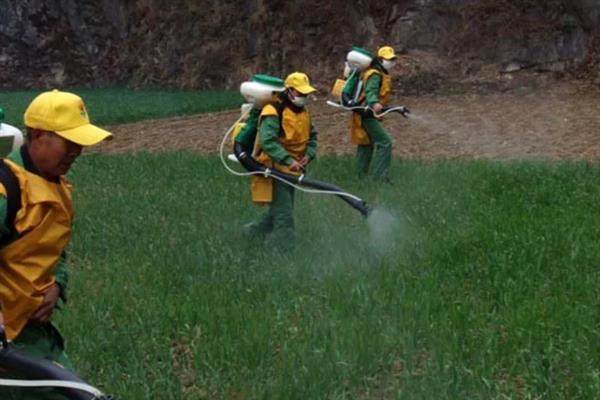 草坪剂和除草剂的应用技巧,不同药剂的使用方法不同