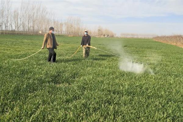 草坪剂和除草剂的应用技巧,不同药剂的使用方法不同