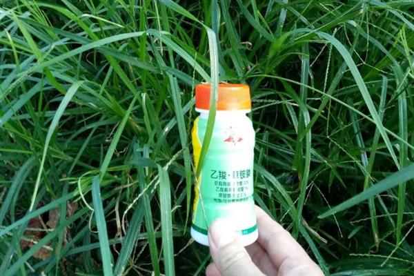 草坪剂和除草剂的应用技巧,不同药剂的使用方法不同