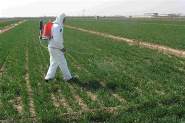 草坪剂和除草剂的应用技巧,不同药剂的使用方法不同