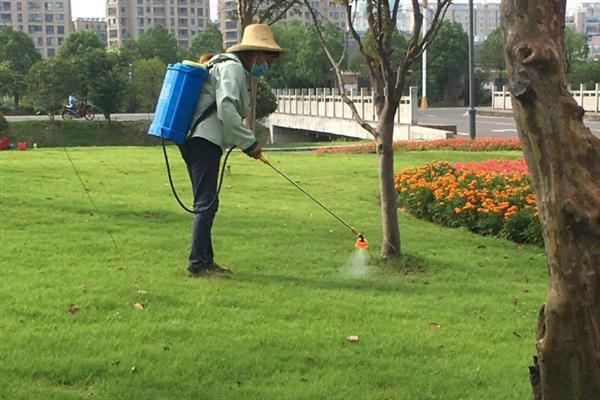 草坪剂和除草剂的应用技巧,不同药剂的使用方法不同