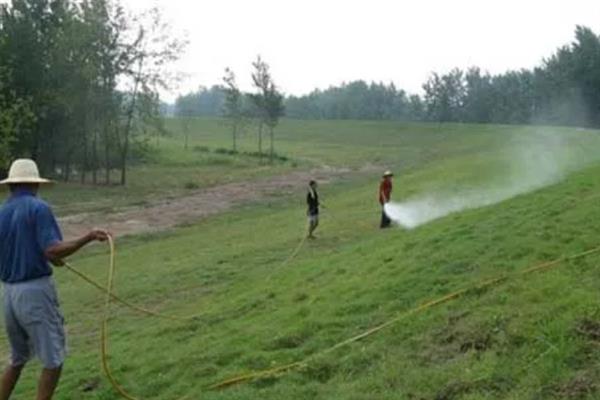 草坪剂和除草剂的应用技巧,不同药剂的使用方法不同