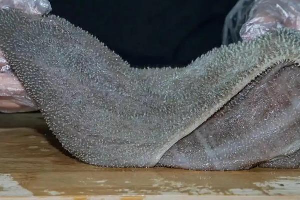 毛肚和百叶有什么区别，前者是牛的瘤胃、后者是牛的瓣胃