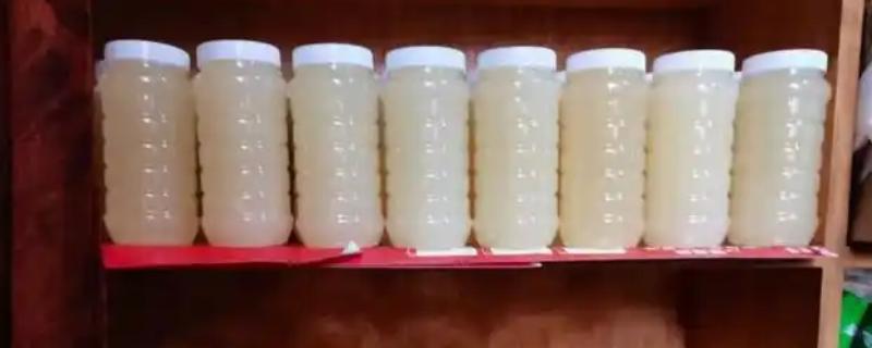 油菜蜜和槐花蜜对比，色泽和口感均不同