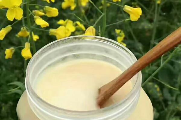 油菜蜜和槐花蜜对比，色泽和口感均不同