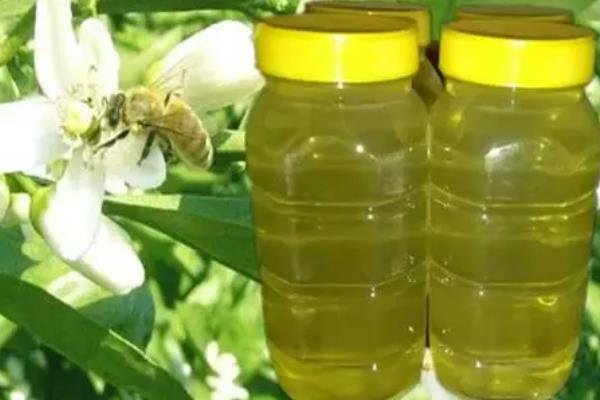 油菜蜜和槐花蜜对比，色泽和口感均不同