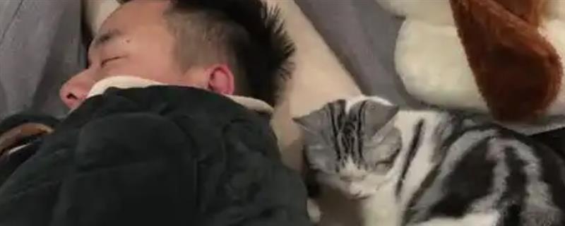猫和人一起睡有什么危害，容易引起细菌感染和真菌感染等