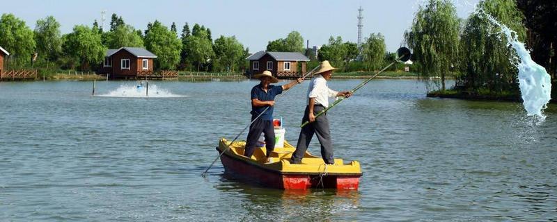 用什么肥料对鱼塘增肥，氮肥、磷肥、粪肥等肥料是适宜选择
