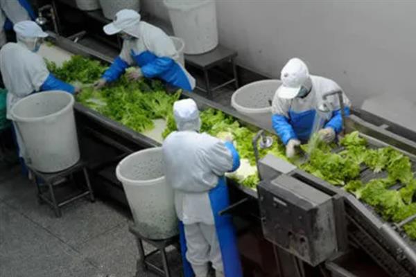 有机农业的简介,是指遵循一定生产标准、自然规律、生态学原理的农业类型