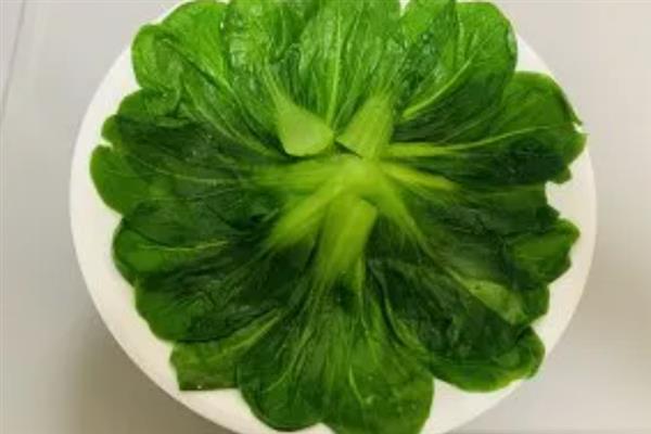 有什么常见的摆盘花草，叶片摆盘常用铜钱草、薄荷、百里香等品种