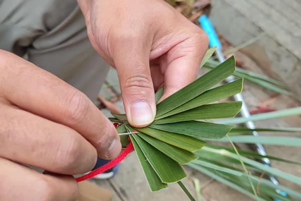 竹编和柳编有什么区别，概念、工艺、产地等方面均不同