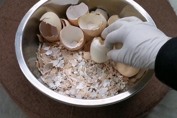 怎么用橙子皮制做花肥，切碎后装入瓶中发酵