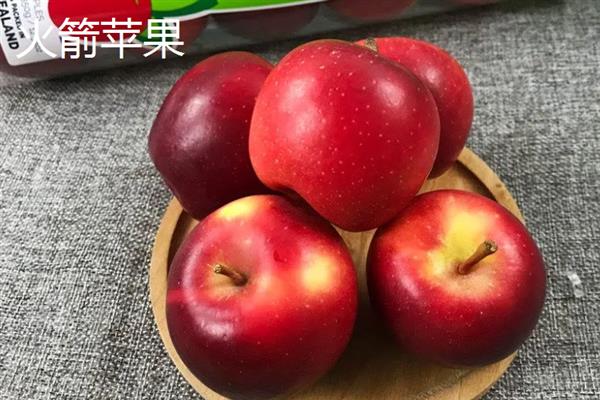 哪些苹果比较小，常见火箭苹果、袖珍苹果等品种