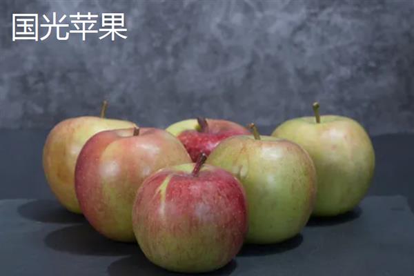 哪些苹果比较小，常见火箭苹果、袖珍苹果等品种
