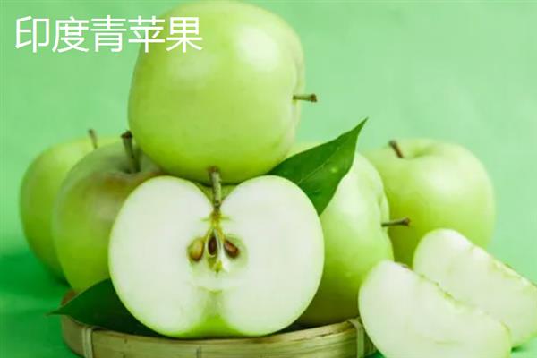 哪些苹果比较小，常见火箭苹果、袖珍苹果等品种