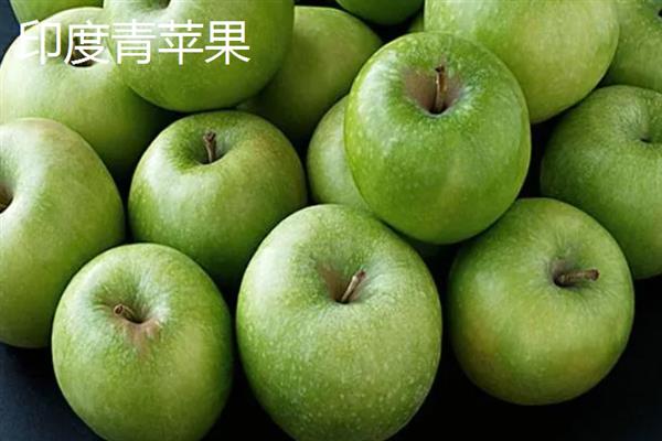 哪些苹果比较小，常见火箭苹果、袖珍苹果等品种