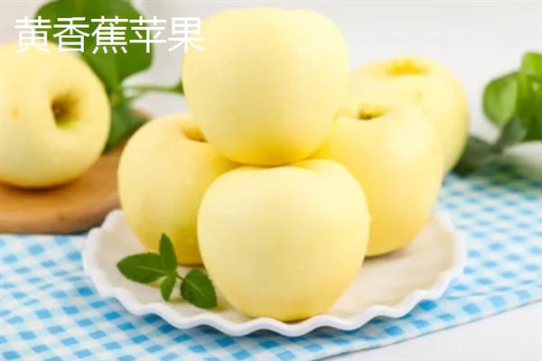 哪些苹果比较小，常见火箭苹果、袖珍苹果等品种