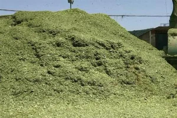 玉米秸秆的青储技术，根据青贮规模选择青贮器具