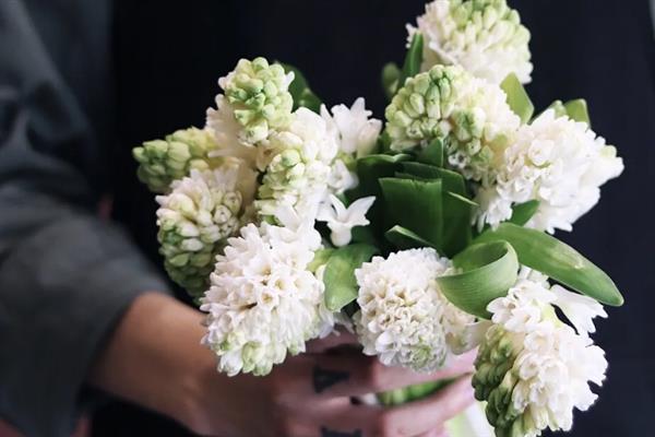 风信子的花语，寓意沉静的爱、幸福美满等