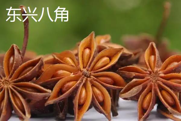 广西省东兴市的特产，东兴绿茶是上乘的送礼佳品