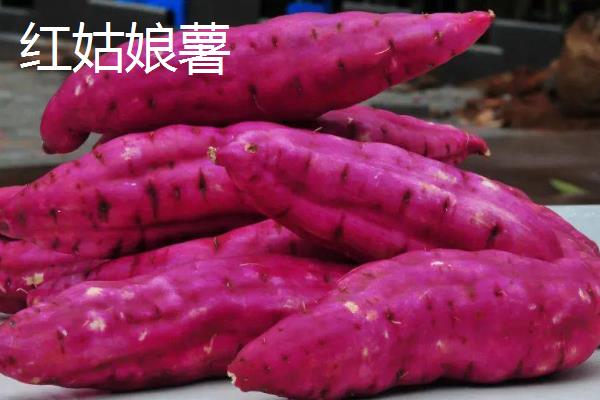 广西省东兴市的特产，东兴绿茶是上乘的送礼佳品