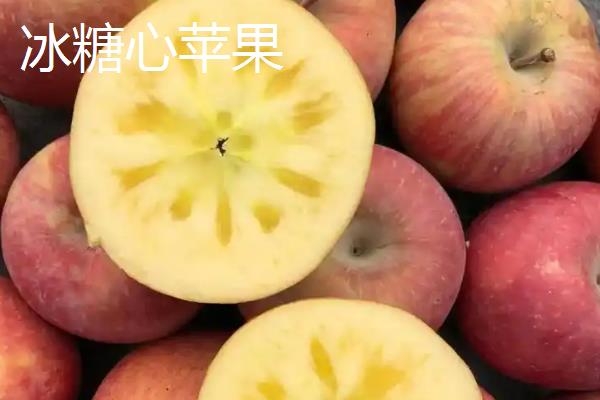 苹果有什么种类，常见红富士、嘎拉、桑萨等品种