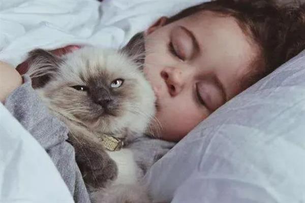 猫和人一起睡有什么危害，容易引起细菌感染和真菌感染等