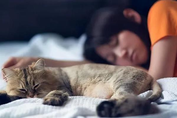 猫和人一起睡有什么危害，容易引起细菌感染和真菌感染等