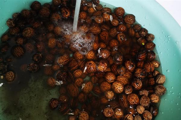 桃核的种植方法，洗净晾干后再播入土壤