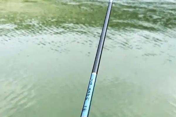 用哪种鱼竿钓黑鱼，选择7-8米的传统长竿较合适