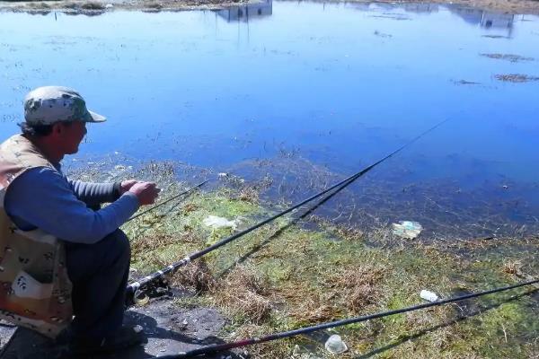 用哪种鱼竿钓黑鱼，选择7-8米的传统长竿较合适