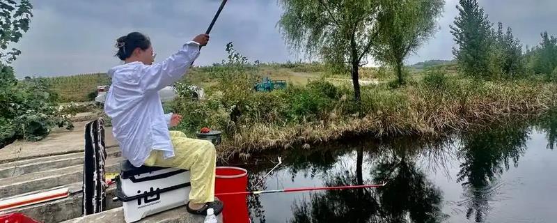 用哪种鱼竿钓黑鱼，选择7-8米的传统长竿较合适