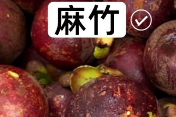 油竹和山竹的区别，油竹是山竹的一种