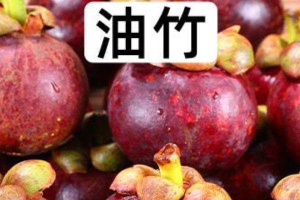油竹和山竹的区别，油竹是山竹的一种