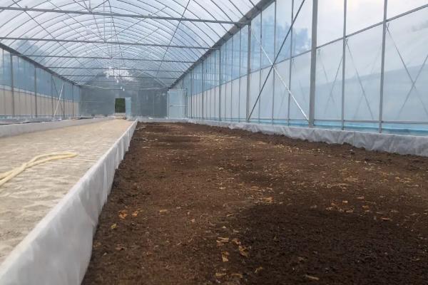 黑水虻大棚如何建造，棚膜可选择无滴高保温膜