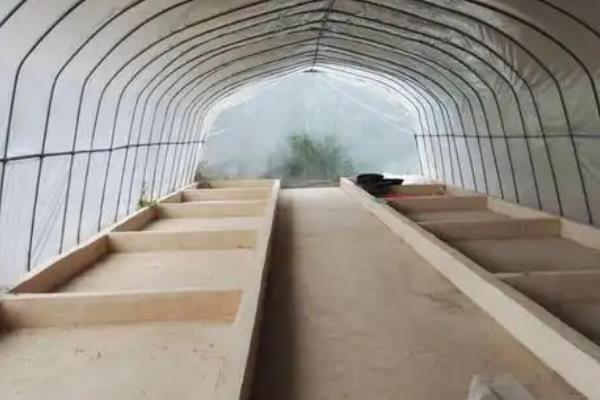 黑水虻大棚如何建造，棚膜可选择无滴高保温膜