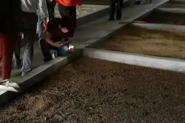 黑水虻大棚如何建造，棚膜可选择无滴高保温膜