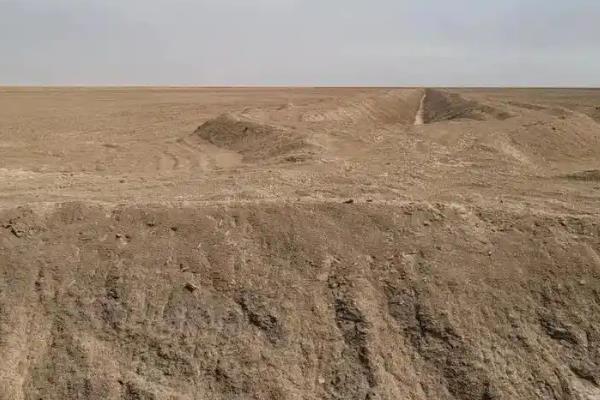 黑地膜和白地膜的区别是什么，后者升温更快