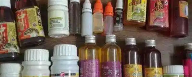 钓鱼用什么小药，针对不同的鱼种选择不同的小药
