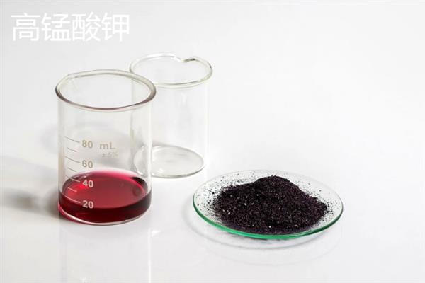十一月适合扦插哪些花，适合扦插茶花、茉莉花、天竺葵等