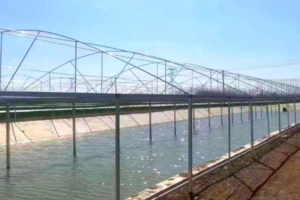 养虾能不能用复合肥进行肥水，可以使用但效果不如有机肥