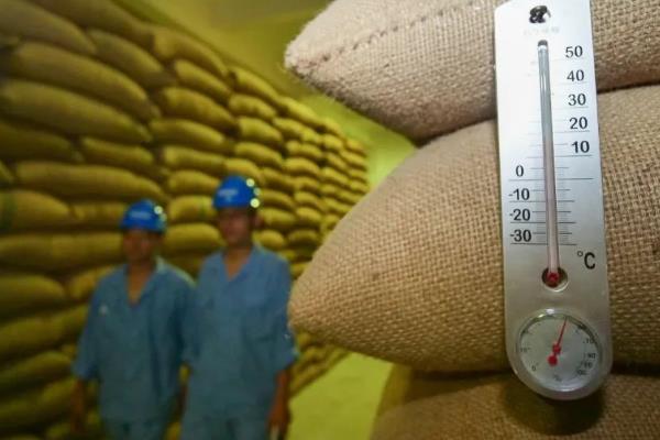 麦子的成熟时间，大多为6-8月份左右