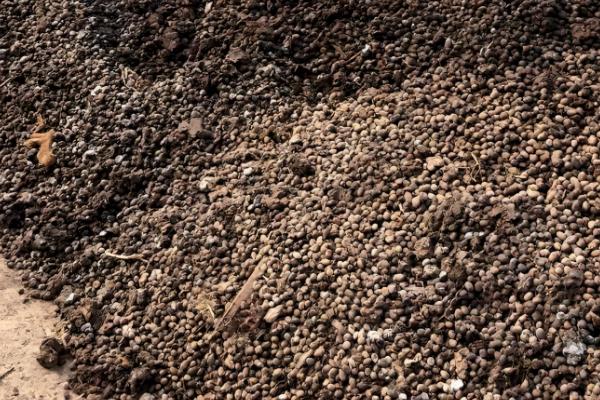 农村3月份做什么农活，可以翻地、除草等