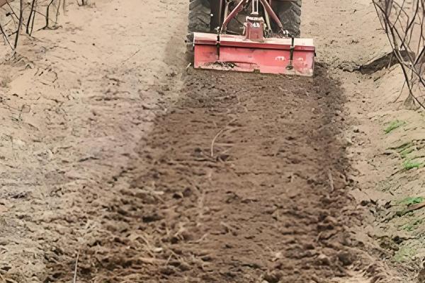 农村3月份做什么农活，可以翻地、除草等