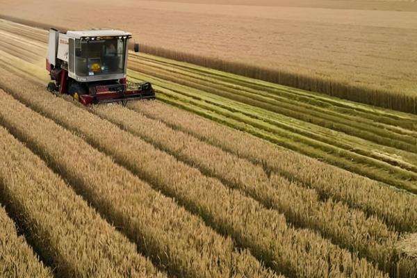 农村3月份做什么农活，可以翻地、除草等