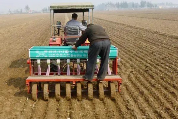 河南小麦什么时候播种，主要集中在10月份